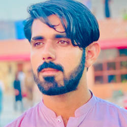 Malik Shahid-Freelancer in MIANWALI,Pakistan