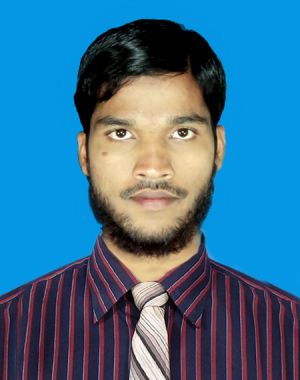 Mahmud Nabi-Freelancer in Barisal,Bangladesh