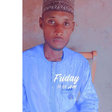 Muhammad Abubakar Fandirma-Freelancer in Sokoto,Nigeria