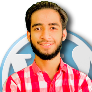 Ameer Hamza-Freelancer in Farooqabad,Pakistan