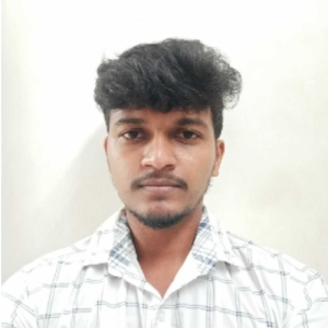 Ari Krishnan P-Freelancer in Chennai,India