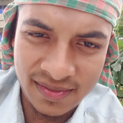 Hk. Hasan-Freelancer in ,Bangladesh