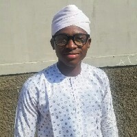 Hamza Muhammad-Freelancer in Kano,Nigeria