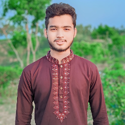 Salman Ahmad-Freelancer in sylhet,Bangladesh