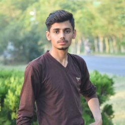 Rizwan Ahmad-Freelancer in Islamabad,Pakistan