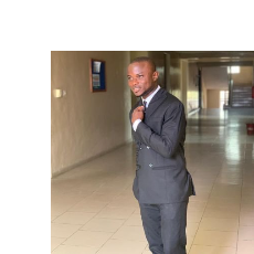 Olamilekan Salam-Freelancer in Nigeria,Nigeria