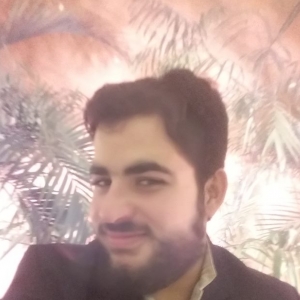 Hilal Hussain-Freelancer in Lahore,Pakistan