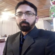 Syed Muhammad Zeeshan Ali-Freelancer in Karachi,Pakistan