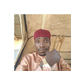 Mohammed Abdulhamid-Freelancer in Yobe,Nigeria