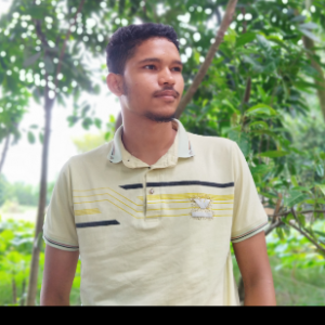 Towhidul Islam-Freelancer in Narsingdi,Bangladesh