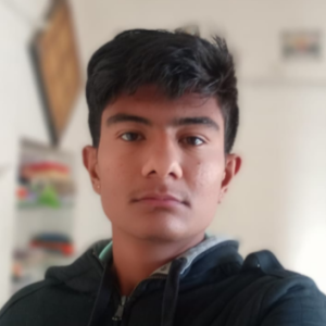 Mahesh Chaudhary-Freelancer in Jodhpur,India