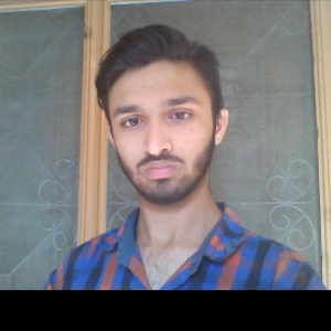 Husnain Mukhtar-Freelancer in Faisalabad,Pakistan