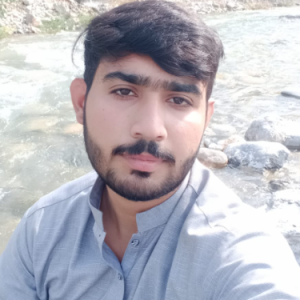 M Shahzaib-Freelancer in Faisalabad,Pakistan