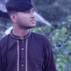 Hussain Md-Freelancer in Chittagong,Bangladesh