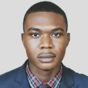 MK Liman-Freelancer in Abuja,Nigeria