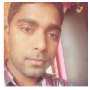 Sajeesh C-Freelancer in Edappal,India