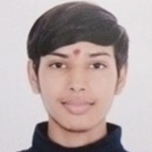 Nayan Prajapati-Freelancer in Ahmedabad,India