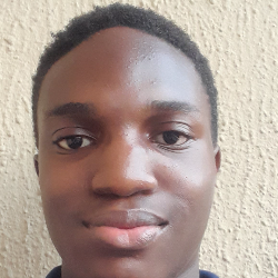 Nonso Ojeh-Freelancer in Oshodi/Isolo,Nigeria