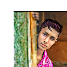 Anisur Sk-Freelancer in Kolkata,India