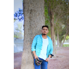 Tayef Siddiki-Freelancer in Abu Dhabi,UAE