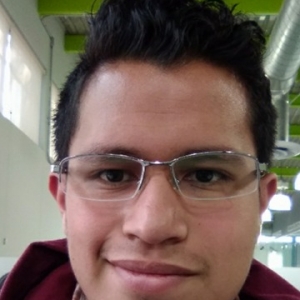 Erick Ricardo Martinez-Freelancer in Mexico,Mexico