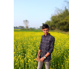 Md Emrul Hasan Limon-Freelancer in Kushtia,Bangladesh