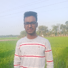 Ashik Khan-Freelancer in ,Bangladesh