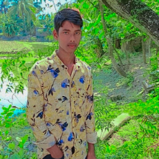 Abul hasan-Freelancer in Satkhira,Bangladesh