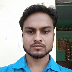 Praveen Dwivedi-Freelancer in Lucknow,India