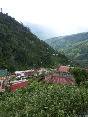 Bishal Dahal-Freelancer in Darjeeling,India