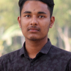 Md. Mominul Islam-Freelancer in Sapahar,Bangladesh