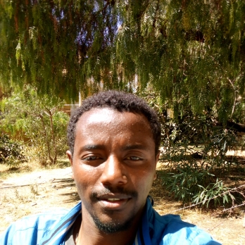 Bereket Fikadesilass-Freelancer in Mek'ele,Ethiopia