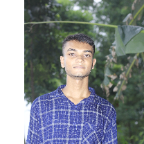 Apple Mia-Freelancer in Palasbari,Bangladesh