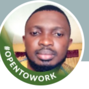 Roland Oluchukwu-Freelancer in Lagos,Nigeria