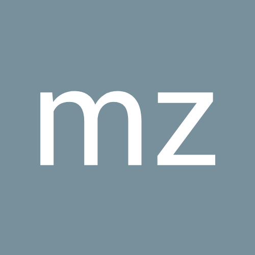 Mz Zarrinphaker-Freelancer in ,Netherlands
