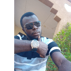 Armayau Ibrahim-Freelancer in Gusau,Nigeria