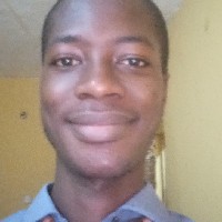 Marvellous Joshua-Freelancer in Ifo,Nigeria