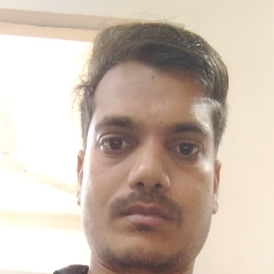 Raj Arpit-Freelancer in Patna,India