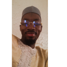 Mansur Hamman Buba-Freelancer in Abuja,Nigeria
