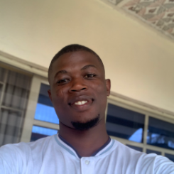 Adekunle Ridwan-Freelancer in Osogbo,Nigeria