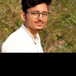 Kartik Kinage-Freelancer in Nagpur,India