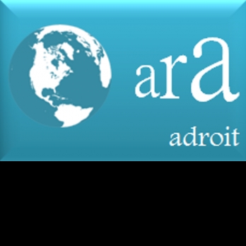 Adroit Research & Analysis Pvt. Ltd.-Freelancer in Bhopal,India