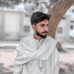 Muhammad Umair-Freelancer in Toba Tek Singh,Pakistan