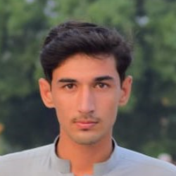 Talal Khan-Freelancer in Swabi,Pakistan