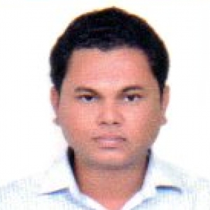 Vijay Raje-Freelancer in ,India