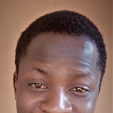 Peter Bayawa-Freelancer in Abuja,Nigeria