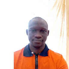 Wasiu Ishola-Freelancer in Lagos,Nigeria