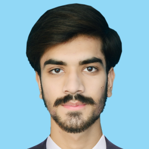 Rana Naveed-Freelancer in Dera Ghazi Khan,Pakistan