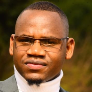 Gabriel-Freelancer in Pretoria,Zimbabwe