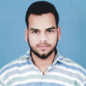 Mohammad Aadil-Freelancer in Jobat,India
